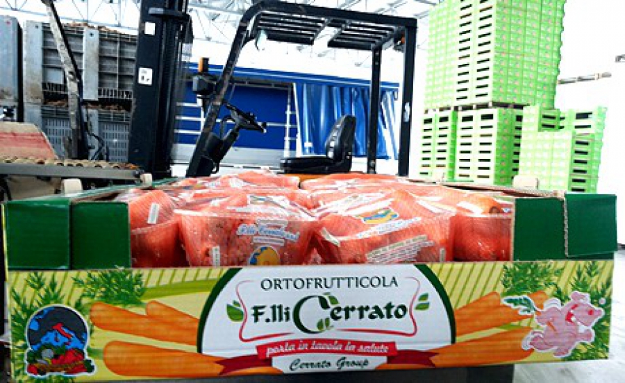 F.lli Cerrato: &quot;A rilento la vendita di carote, per il 2015 speriamo in prezzi migliori&quot;